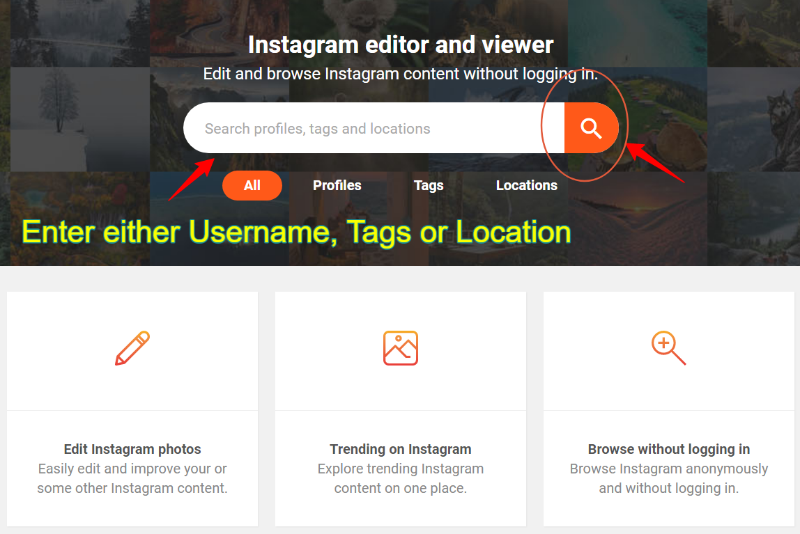 instagram view and editor